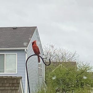 Meet your Posher, Leslie